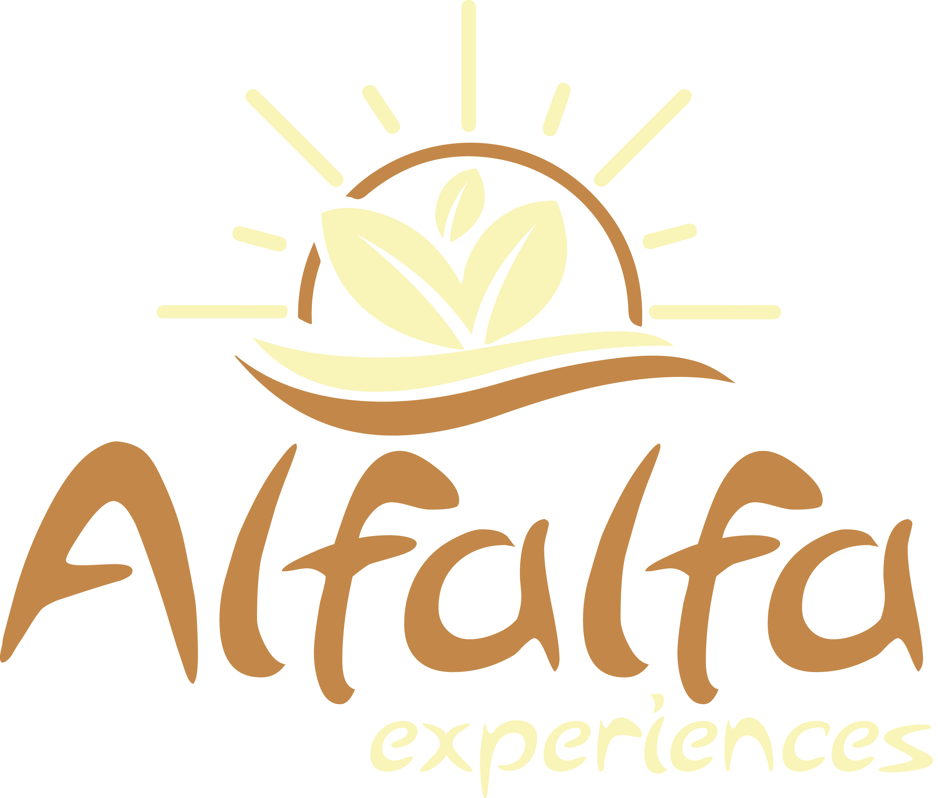 alfaalfa-a Agence Digitale offshore